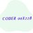 coder00228